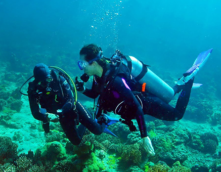 Wilson Yeung 潛水必備攝影器材分享